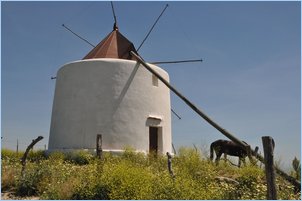 [Click to enlarge image]